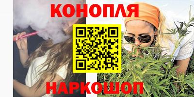 крисы Норильск