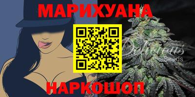 крисы Норильск