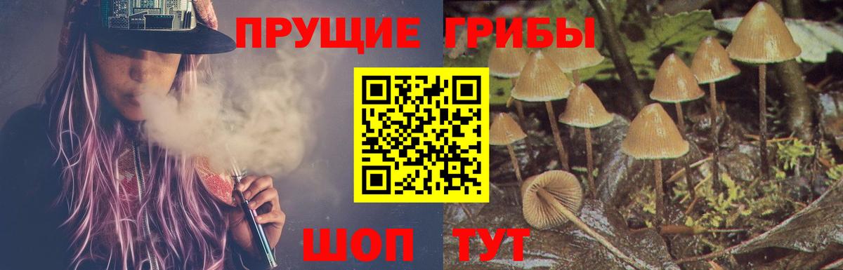 Псилоцибиновые грибы MAGIC MUSHROOMS  Вход с VPN  Галлюциногенные грибы ЛСД  Лесной 